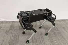 Laikago, robot 4 chân18-DoF, được sử dụng trong thử nghiệm. Ảnh Google