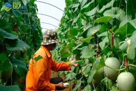 Tận dụng triệt để cơ hội để giải quyết bài toán nông nghiệp Việt Nam thời 4.0