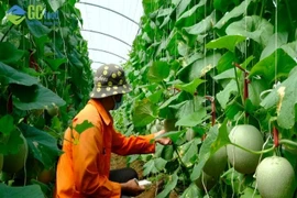 Tận dụng triệt để cơ hội để giải quyết bài toán nông nghiệp Việt Nam thời 4.0