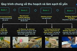  Robot làm sạch tổ yến