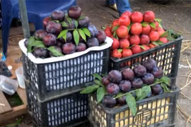 ​​​​​​​Làm sao thì biết làm sao