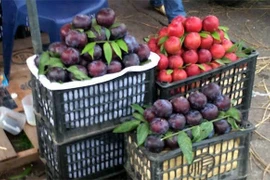 ​​​​​​​Làm sao thì biết làm sao