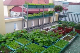 Các yếu tố cần thiết của vườn rau