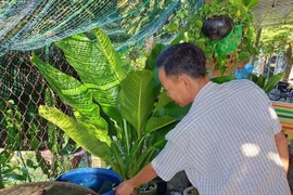 HCDC phát động cuộc thi ảnh “Khoảnh khắc phòng chống sốt xuất huyết”