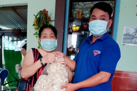 1.800 tấn tỏi Lý Sơn tồn kho, giá rớt mạnh