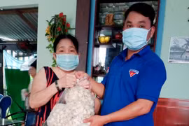 1.800 tấn tỏi Lý Sơn tồn kho, giá rớt mạnh