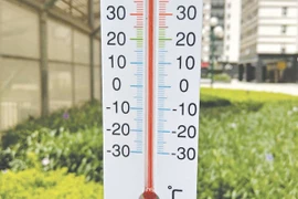 Hóa giải nắng nóng cho ngôi nhà bạn