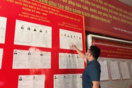 Bầu cử đại biểu: Cử tri sáng suốt chọn hiền tài cho đất nước