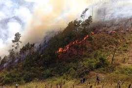 Nghệ An: Chủ động ngăn chặn cháy, nổ trong mùa nắng nóng