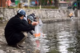 Hà Nội: Thả cá, không thả túi nilon