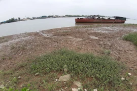 Nam Định: Cát tặc hoành hành “rút ruột” sông Hồng