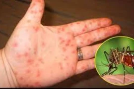 1 tuần ghi nhận 8000 ca mắc sốt xuất huyết