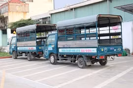 Từ 1/7: Xe tải, bán tải có khối lượng từ 950kg trở lên không được coi là xe con