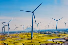Sắp hết thời hạn 31/10, mới có 28/106 nhà máy điện gió kịp hưởng giá FIT