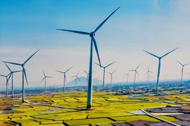 Sắp hết thời hạn 31/10, mới có 28/106 nhà máy điện gió kịp hưởng giá FIT