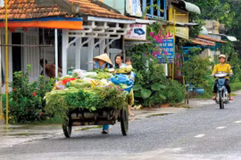 “Chợ đẩy” dọc sông Tiền