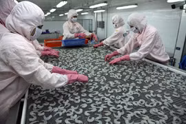  Kỳ vọng xuất khẩu tôm tăng trưởng tốt trong năm tới