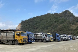 Cửa khẩu Tân Thanh (Lạng Sơn) thông quan hàng hóa bình thường từ 18/8