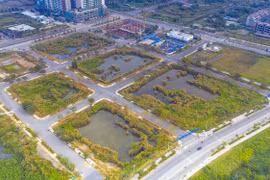 Đấu giá đất Thủ Thiêm: Trúng giá nghìn tỉ, tài sản công ty chưa đến 100 triệu, tiền ở đâu mà có?