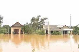 Đang ngập tứ bề, miền Trung lại sắp đón bão có cường độ kinh khủng?