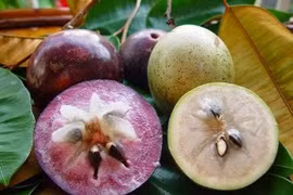 ​​​​​​​Nghịch lý hoa quả nhập