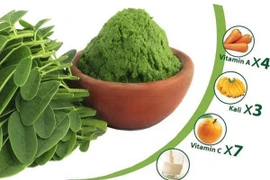 Rau chùm ngây gây mất ngủ