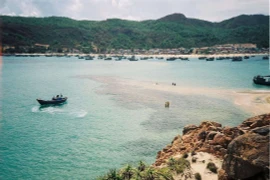 Biển miền Trung dần vơi cạn tài nguyên