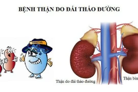 Cách giảm bệnh thận do đái tháo đường