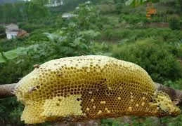 Giá trị dinh dưỡng của mật ong rừng