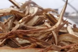 Cái hay trong bài thuốc của Hải Thượng Lãn Ông 