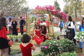 Nghỉ Tết Dương lịch 2021, người dân thích thú 'check in' Lễ hội hoa Xuân Quan