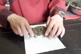 Cứu huyệt điều trị nghẹt mũi do phì đại cuống mũi