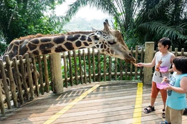 Không lại gần thú nuôi nhốt