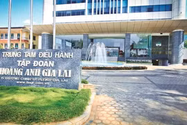 Hoàng Anh Gia Lai bị đình chỉ giao dịch chứng khoán 5 tháng