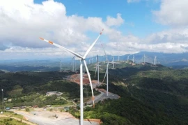 Điện gió chỉ phát được một nửa công suất