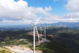 Điện gió chỉ phát được một nửa công suất