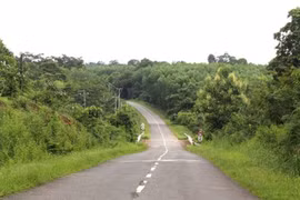 Đồng Nai đề nghị UNESCO cho ý kiến xây 'quốc lộ xuyên rừng' 