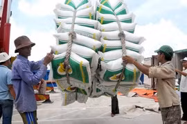 Quy định loại gạo thơm được miễn thuế khi xuất sang EU
