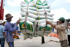 Quy định loại gạo thơm được miễn thuế khi xuất sang EU