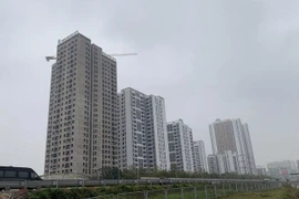 Người dân sử dụng đất liền kề có cơ hội được giao đất xen kẹt