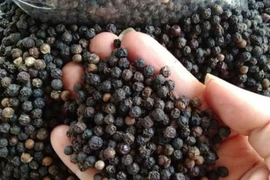 3 tháng đầu năm, xuất khẩu hạt tiêu Việt Nam giảm đáng kể