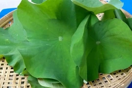 Cẩn thận với những cách giảm cân cấp tốc