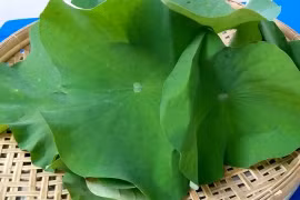 Cẩn thận với những cách giảm cân cấp tốc