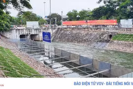 JEBO: “Chủ tịch UBND Thành phố Hà Nội thông tin "sai sự thật"