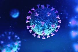 Văcxin Novavax có khả năng chống lại các biến thể mới của coronavirus