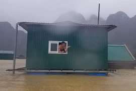  Nhà cơ động cho bà con vùng lũ