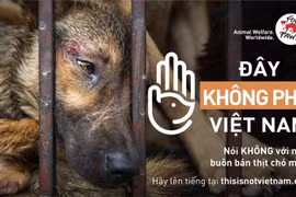 Việt Nam nói không với thịt chó mèo