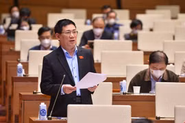 Giảm thuế bảo vệ môi trường chỉ là một trong những phương án giảm giá xăng