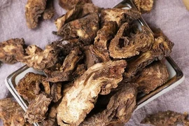 Phương thang khương hoạt chữa đau cổ vai gáy 