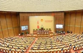 Đại biểu Quốc Hội: Có hay không chuyện quay vòng tiền giữa ngân hàng và bất động sản?